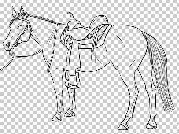 American Quarter Horse American Paint Horse Mustang Drawing Western Riding PNG, Clipart, American Quarter Horse, Animal Figure, Art, Dressage, Head Free PNG Download
