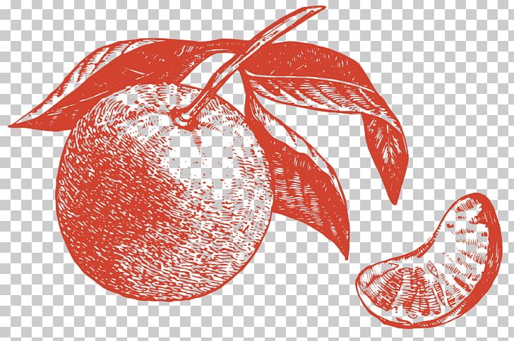 Apple Mandarin Orange Lemon Graphics PNG, Clipart, Apple, Bergamot Orange, Christmas Ornament, Citrus, Drawing Free PNG Download
