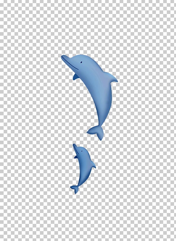 Common Bottlenose Dolphin Tucuxi PNG, Clipart, Animal, Animals, Blue, Cartoon Dolphin, Cobalt Blue Free PNG Download