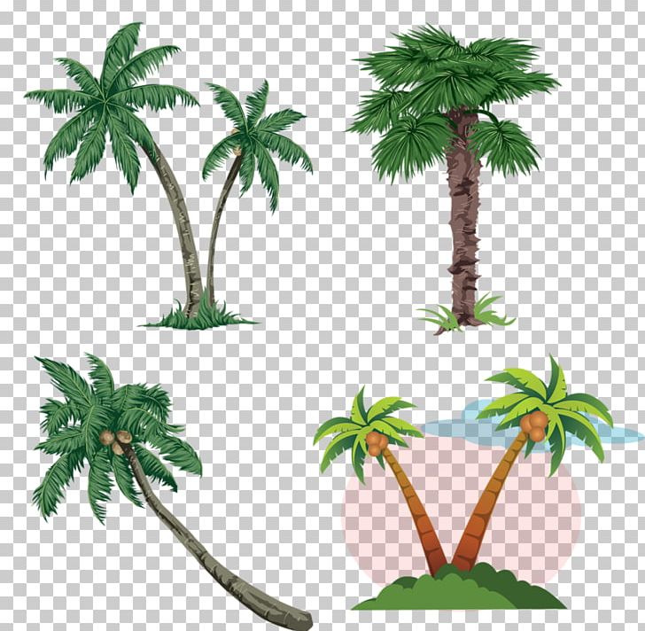 Arecaceae Free Content PNG, Clipart, Arecaceae, Arecales, Cartoon, Christmas Tree, Coconut Free PNG Download