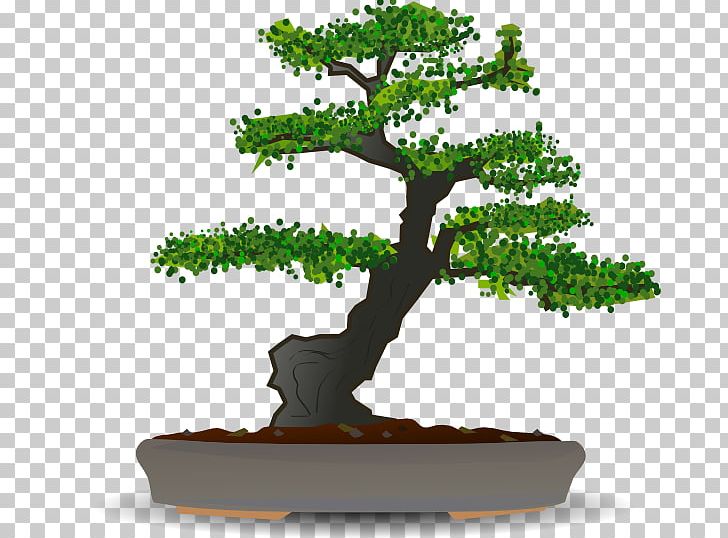 Bonsai Tree PNG, Clipart, Bonsai, Flowerpot, Garden, Gardening, Houseplant Free PNG Download