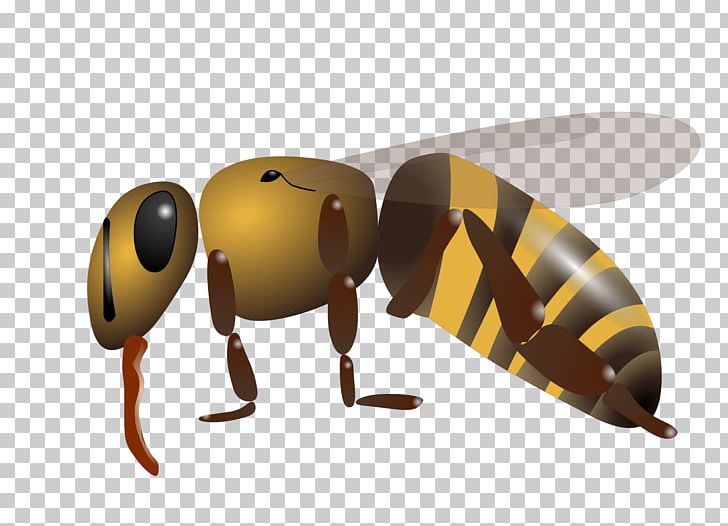 Western Honey Bee Insect Scalable Graphics Portable Network Graphics PNG, Clipart, Api, Bee, Bumblebee, File, Honey Free PNG Download