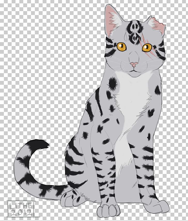 Whiskers American Wirehair Kitten Domestic Short-haired Cat Tabby Cat PNG, Clipart, American Wirehair, Animal, Animal Figure, Animals, Big Cat Free PNG Download