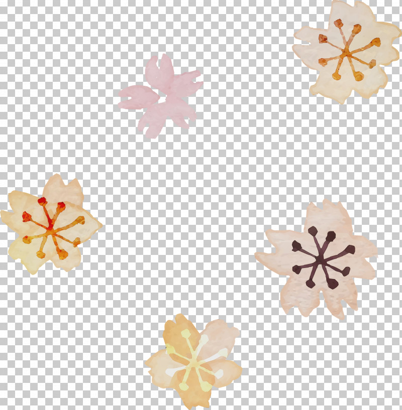 Orange PNG, Clipart, Jewellery, Orange, Orange Sa, Paint, Petal Free PNG Download