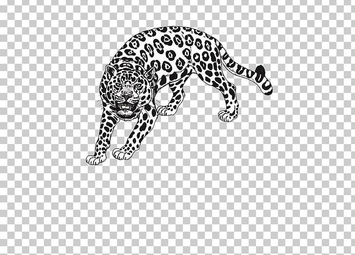 Amazon Rainforest Draw Anything : Pencil Drawings Step By Step: Pencil Drawing Ideas For Absolute Beginners Coloring Book PNG, Clipart, Animal, Animals, Background, Big Cats, Black Free PNG Download