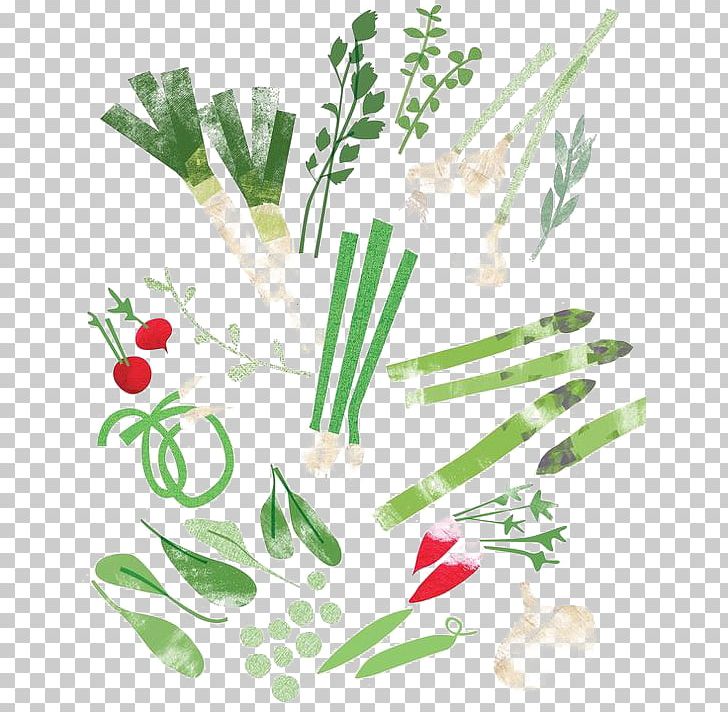 Drawing Art Food Vegetable Illustration PNG, Clipart, Branch, Caricature, Collage, Cooking, Flower Free PNG Download