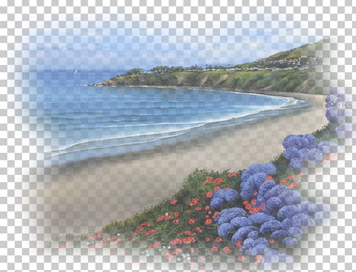 Landscape Sea Nature Desktop PNG, Clipart, Animated Film, Bay, Beach, Blog, Coast Free PNG Download