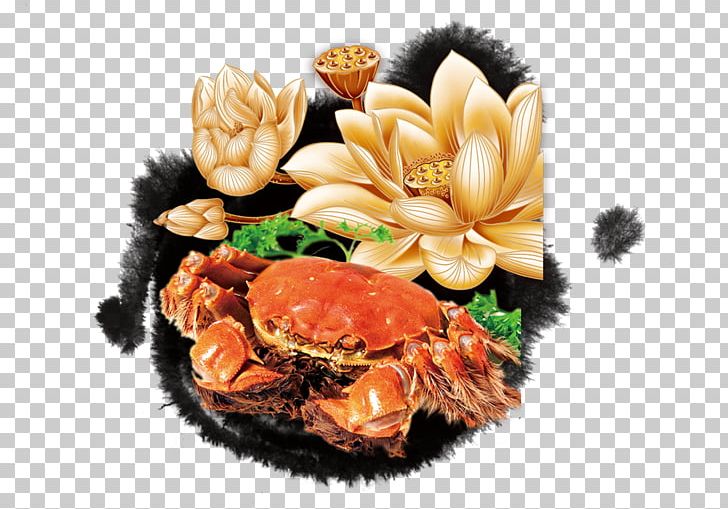 Chinese Mitten Crab Chinese Cuisine Seafood PNG, Clipart, Animals ...