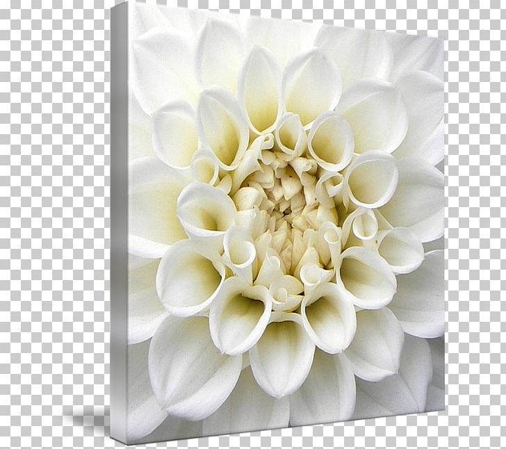 Floral Design Gallery Wrap Art Flower Canvas PNG, Clipart, Art, Canvas, Cut Flowers, Dahlia, Floral Design Free PNG Download