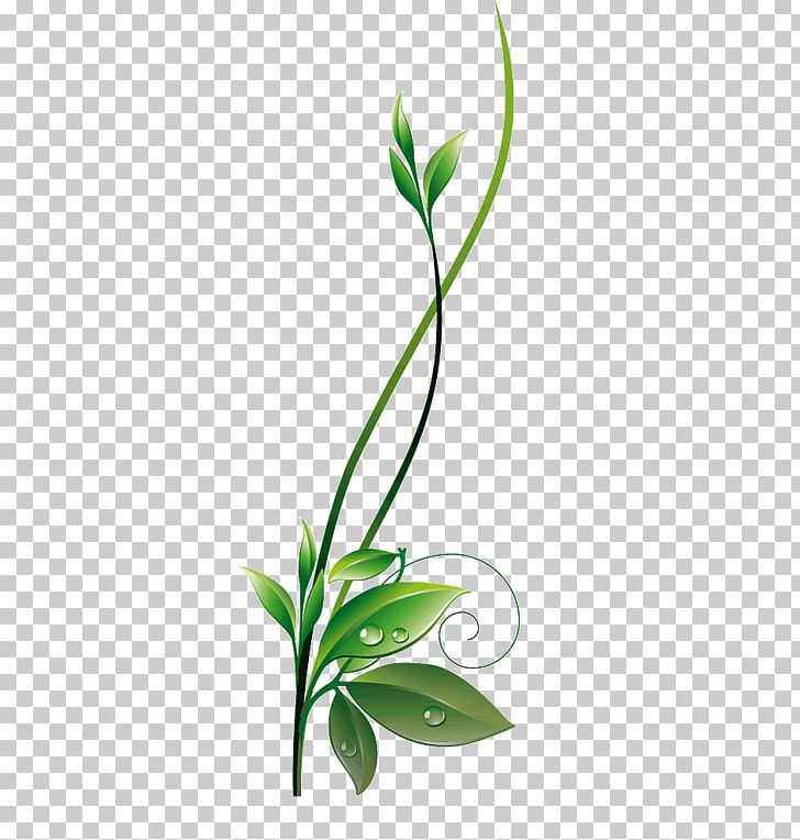 Green PNG, Clipart, Branch, Download, Flora, Flower, Flowering Plant Free PNG Download