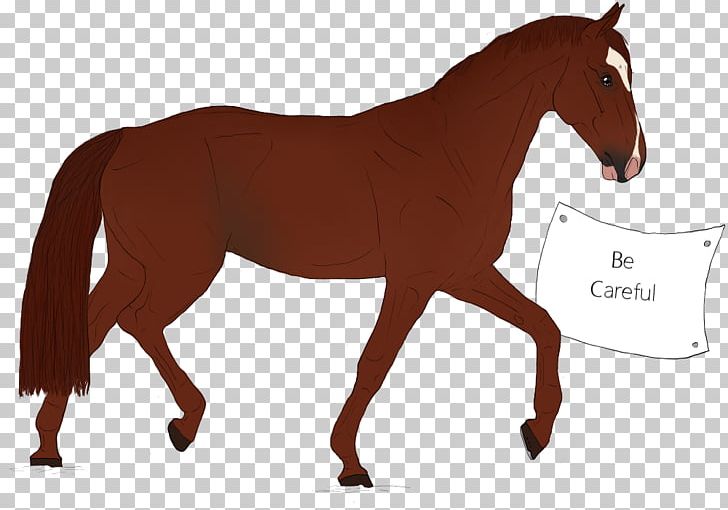 Mustang American Quarter Horse Pony Stallion Foal PNG, Clipart, Black, Bridle, Careful, Colt, English Riding Free PNG Download
