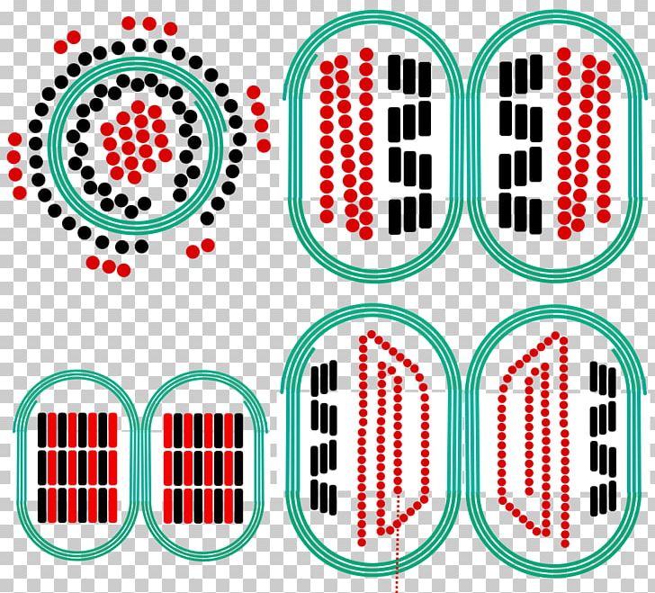 Toroidal Inductors And Transformers Electromagnetic Coil Electrical Impedance Magnetic Core PNG, Clipart, Area, Brand, Circle, Circuit Diagram, Current Transformer Free PNG Download