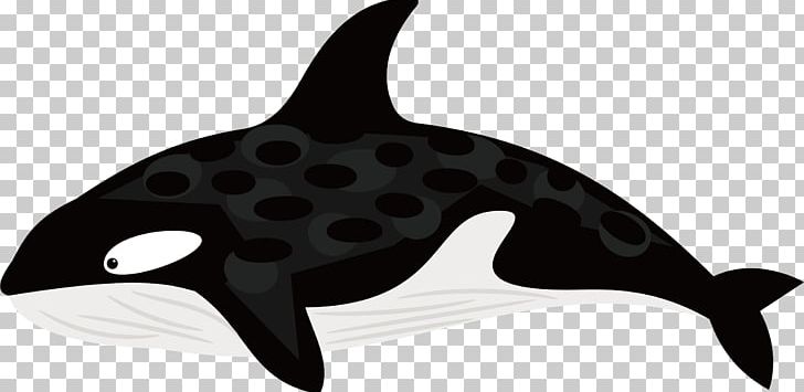 Dolphin Black And White Whale PNG, Clipart, Animal, Animals, Background Black, Beluga Whale, Black Free PNG Download
