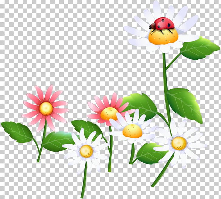 Flower Cdr PNG, Clipart, Cdr, Common Daisy, Computer Icons, Cut Flowers, Daisy Free PNG Download