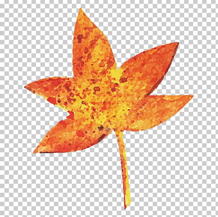 Halloween Maple Leaf PNG, Clipart, Decoration, Download, Drawing, Euclidean Vector, Gratis Free PNG Download