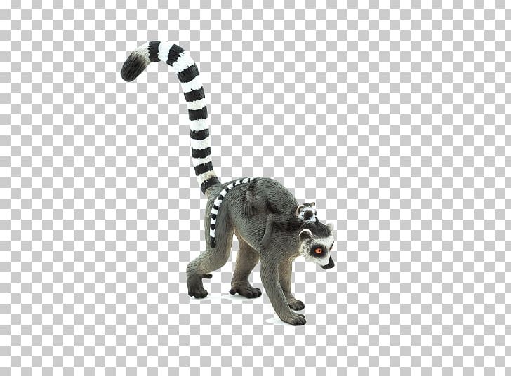 Lemur PNG, Clipart, Lemur Free PNG Download