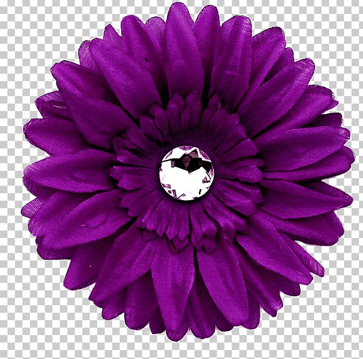 Transvaal Daisy Purple Flower Common Daisy PNG, Clipart, Art, Clip Art, Color, Common Daisy, Cut Flowers Free PNG Download