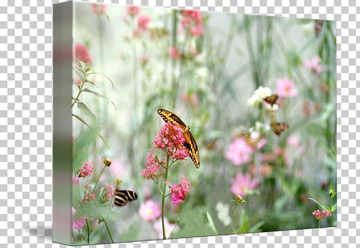 Fauna Wildflower Animal PNG, Clipart, Animal, Butterfly, Fauna, Flora, Flower Free PNG Download