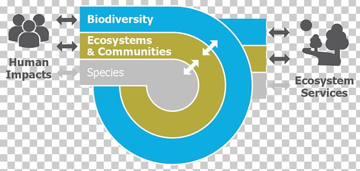 Leiden University Biodiversity Science Ecology Biology PNG, Clipart, Area, Biodiversity, Bioindicator, Biology, Brand Free PNG Download