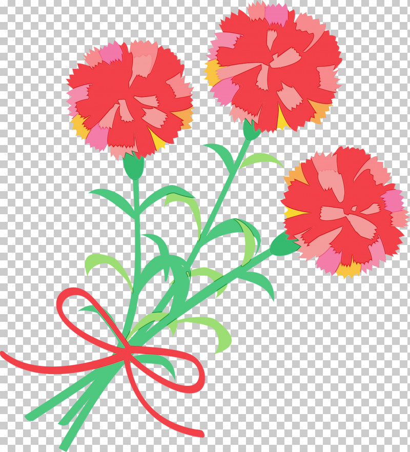 Flower Cut Flowers Plant Tagetes Carnation PNG, Clipart, Carnation, Cut Flowers, Dianthus, Flower, Mothers Day Carnation Free PNG Download