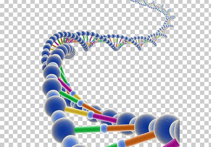 Genetic Testing DNA Molecule RNA Genome PNG, Clipart, Bead, Body Jewelry, Cell, Definition, Exome Free PNG Download