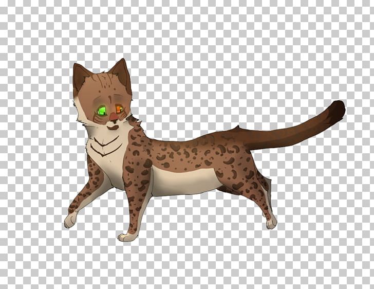 Whiskers Domestic Short-haired Cat Tail Animal PNG, Clipart, Animal, Animal Figure, Animals, Carnivoran, Cat Free PNG Download