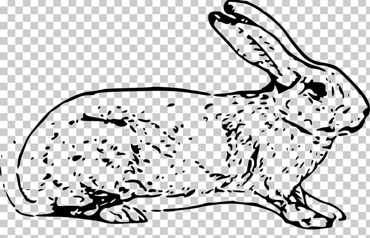 White Rabbit Easter Bunny Hare Domestic Rabbit PNG, Clipart, Animals, Area, Art, Black White, Bunny Free PNG Download
