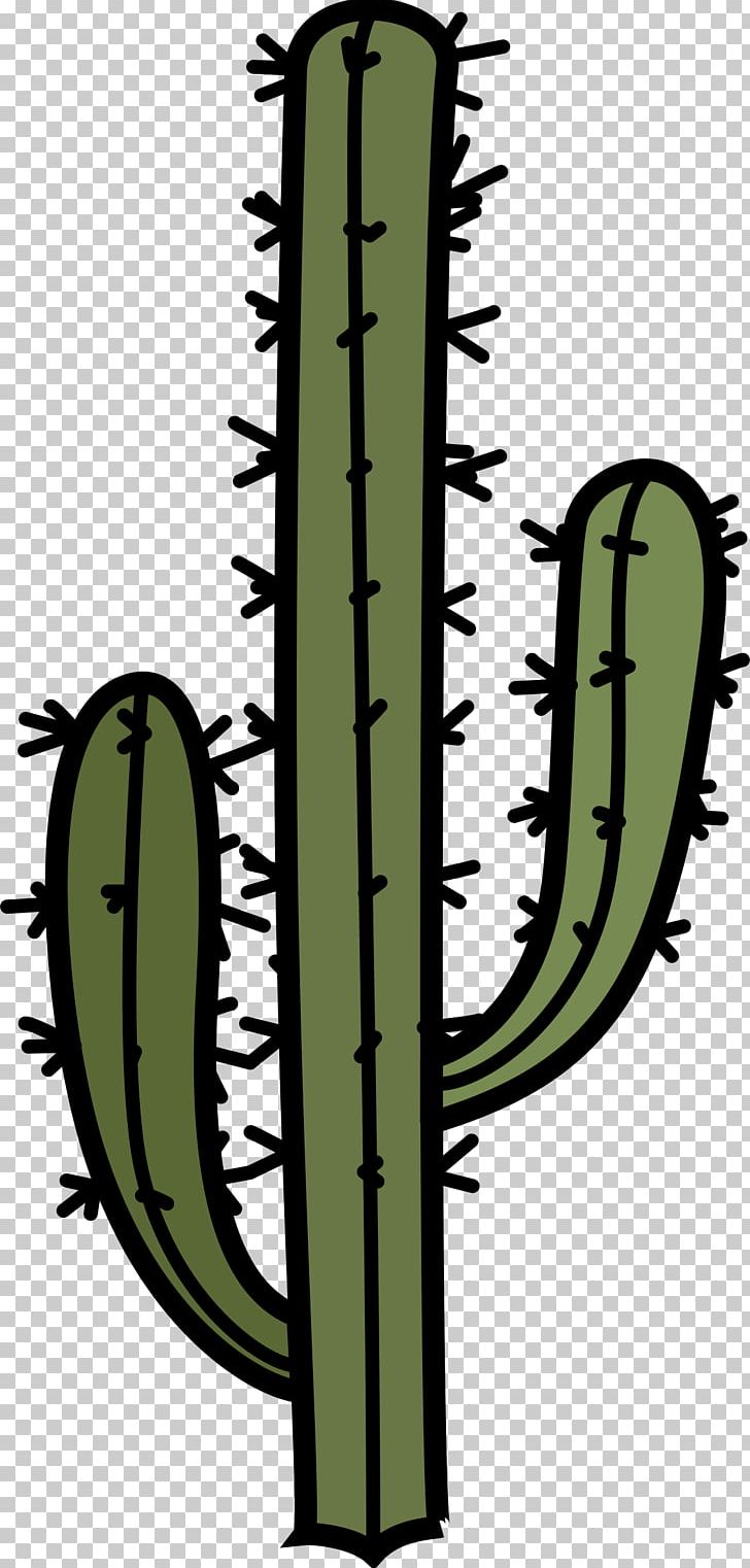 Cactaceae IPhone 7 Plus Arm IPhone 8 Plus PNG, Clipart, Arm, Cactaceae, Cacti, Cactus, Flowering Plant Free PNG Download