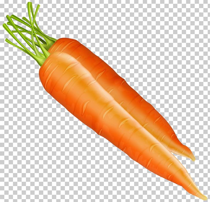 Carrot Vegetable PNG, Clipart, Baby Carrot, Carrot, Food, Local Food, Natural Foods Free PNG Download