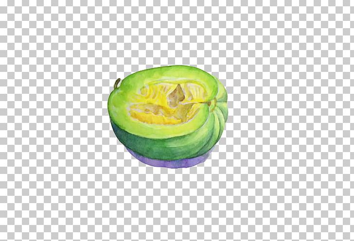 Watercolor Painting Illustrator World Wide Web Painter PNG, Clipart, Background Green, Food, Fruit, Fruit Nut, Gourd Free PNG Download