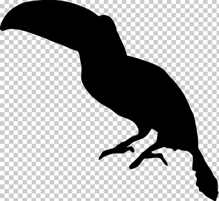 Bird Toucan Silhouette PNG, Clipart, Animal, Animals, Beak, Bird, Black And White Free PNG Download