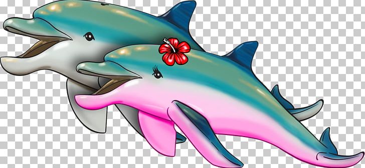 Common Bottlenose Dolphin Blob Farley Requiem Sharks Marine Biology PNG, Clipart,  Free PNG Download