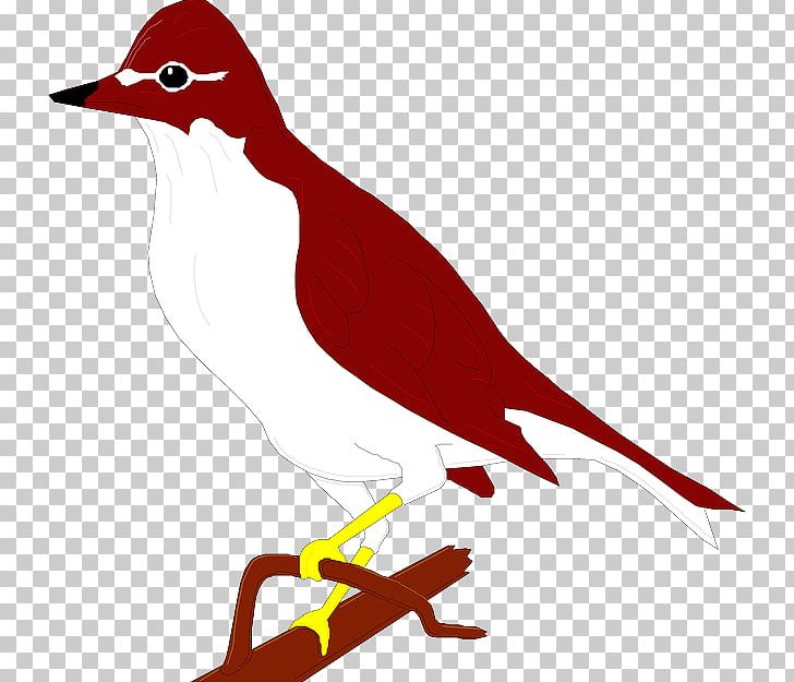 Duck Thrush Textile PNG, Clipart, Animals, Art, Beak, Bird, Bird On Branch Free PNG Download