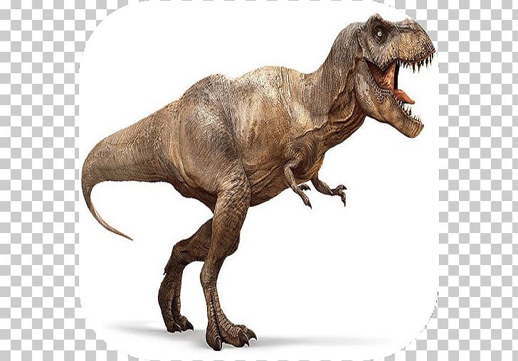 Tyrannosaurus Velociraptor Carnivores: Dinosaur Hunter Late Cretaceous PNG, Clipart, Carnivores, Carnivores Dinosaur Hunter, Cretaceous, Dinosaur, Extinction Free PNG Download