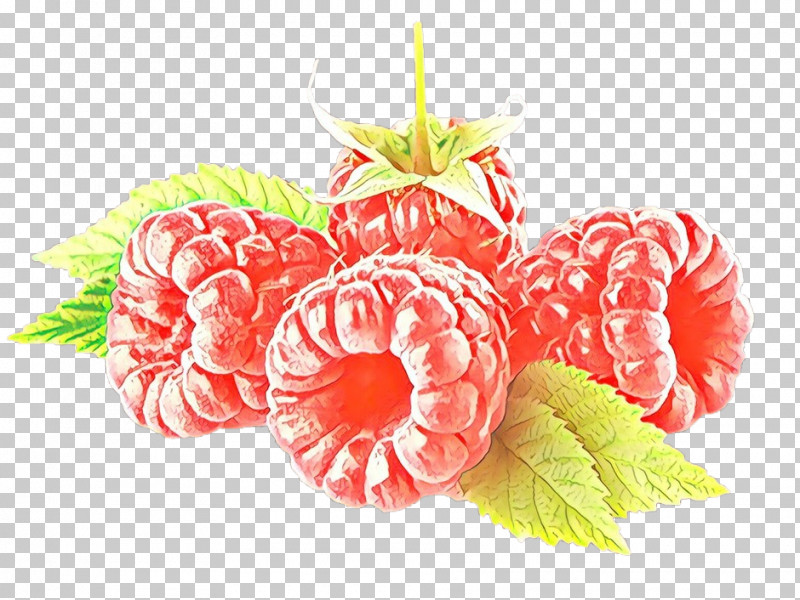 Pink Leaf Fruit Plant Food PNG, Clipart, Berry, Flower, Food, Fruit, Leaf Free PNG Download