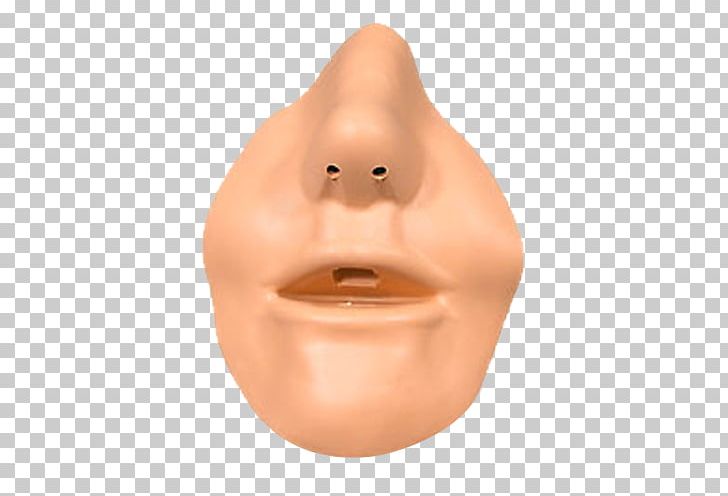 Nose Mouth Nostril Lip Chin PNG, Clipart, Bag Valve Mask, Chin, Dentist, Dentistry, Face Free PNG Download