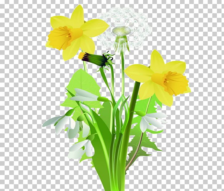 Daffodil Flower Tulip PNG, Clipart, Amaryllis Family, Cut Flowers, Daffodil, Drawing, Encapsulated Postscript Free PNG Download
