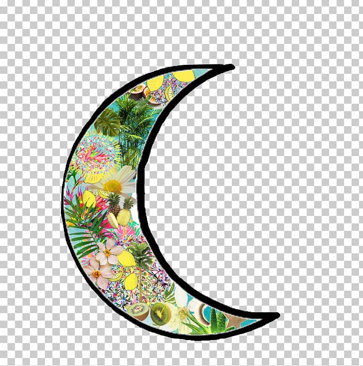 Moon Lunar Phase We Heart It PNG, Clipart, Absorption, Blog, Cyclic Voltammetry, Information, Keyword Tool Free PNG Download