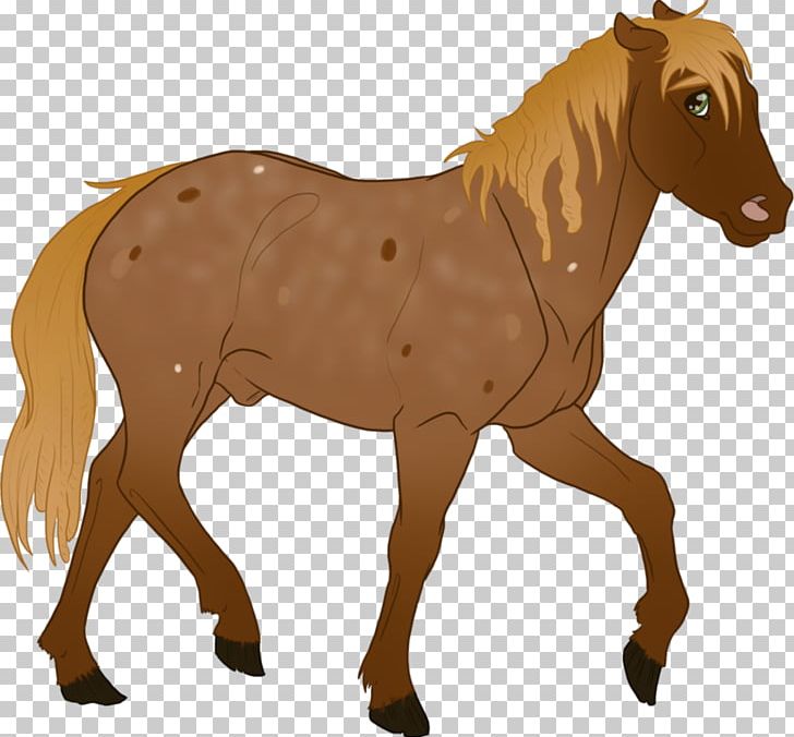Mule Foal Stallion Mare Colt PNG, Clipart, Animal Figure, Bridle, Colt, Foal, Halter Free PNG Download