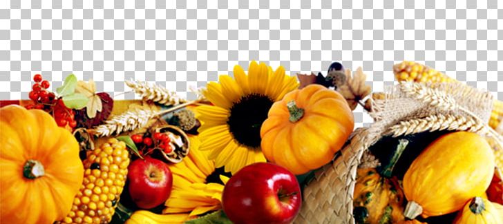 Winter Squash Calabaza Pumpkin Gourd PNG, Clipart, Calabaza, Common Sunflower, Cucurbita, Dates, Diet Food Free PNG Download