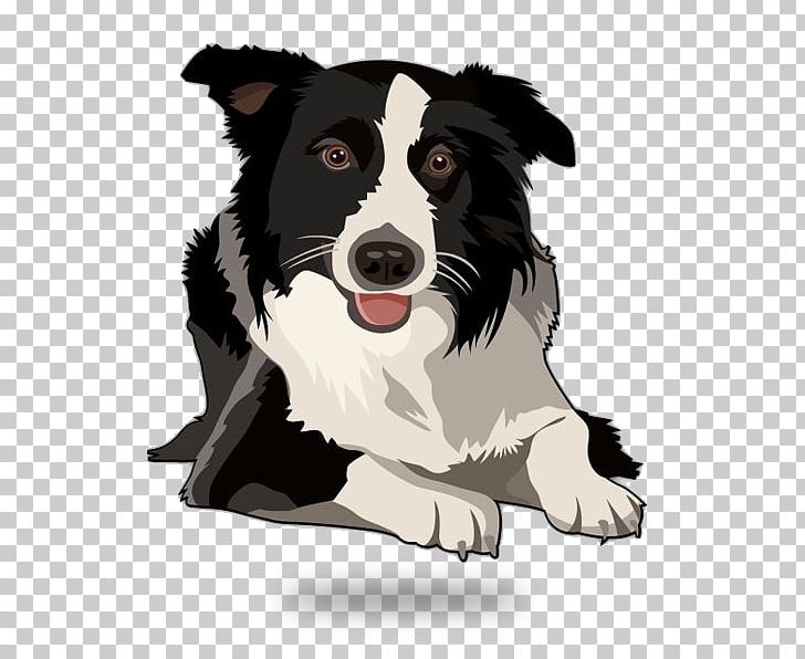 Border Collie Rough Collie Old English Sheepdog Shetland Sheepdog Puppy PNG, Clipart, Animal, Border Collie, Carnivoran, Collie, Companion Dog Free PNG Download