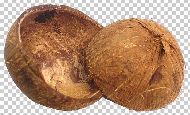 Coconut Sugar Manufacturing Fruit Coconut Oil PNG, Clipart, Bread, Charcoal, Coconut, Coconut Oil, Coconut Shell Free PNG Download