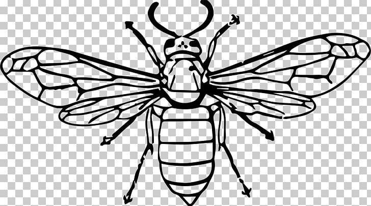 Insect Bee Line Art Wasp PNG, Clipart, Animals, Artwork, Bee, Black And White, Brush Footed Butterfly Free PNG Download