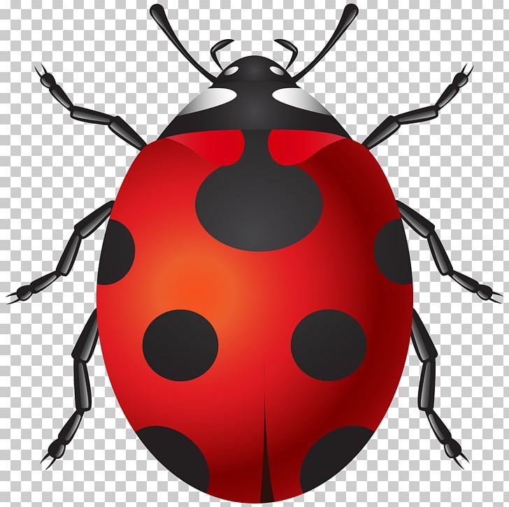 Insect Ladybird PNG, Clipart, 3d Computer Graphics, Animals, Arthropod, Beetle, Computer Software Free PNG Download