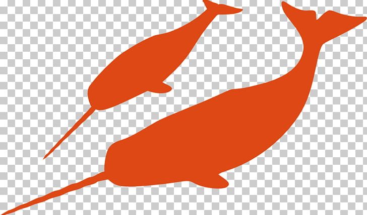 Narwhal Silhouette Whale PNG, Clipart, Animals, Beak, Beluga Whale, Bird, Dolphin Free PNG Download