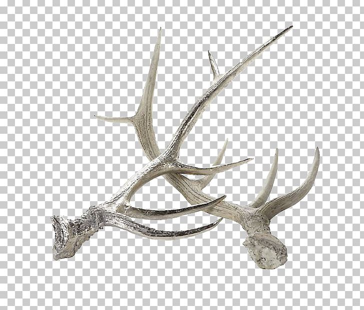 Red Deer Moose Reindeer Antler PNG, Clipart, Acrylic Trophy, Antler, Antlers, Art, Christmas Decoration Free PNG Download