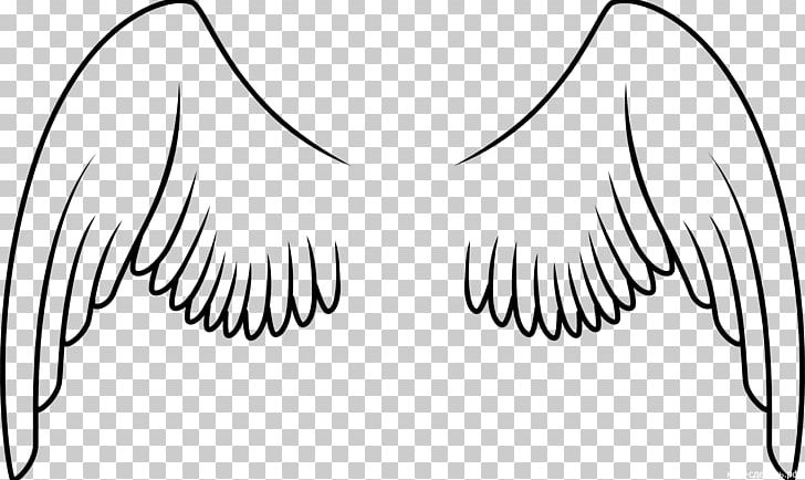 Bird Parrot Drawing PNG, Clipart, Angel Wing, Angle, Animals, Arm, Artwork Free PNG Download