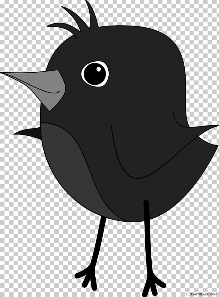 European Robin Free Content American Robin PNG, Clipart, American Robin, Beak, Bird, Black And White, Crow Free PNG Download
