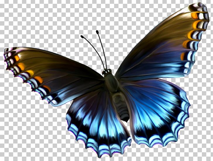 Glasswing Butterfly Insect Caterpillar Menelaus Blue Morpho PNG, Clipart, Animal, Arthropod, Brush Footed Butterfly, Butterflies And Moths, Butterfly Free PNG Download