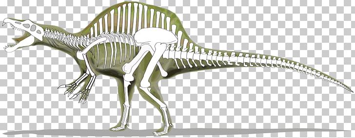 Spinosaurus Tyrannosaurus Baryonyx Suchomimus Giganotosaurus PNG, Clipart, Animal Figure, Baryonyx, Bone, Carcharodontosaurus, Dinosaur Free PNG Download